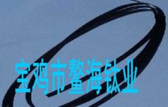 <b>带状钛阳极</b>